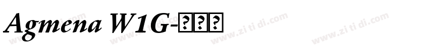 Agmena W1G字体转换